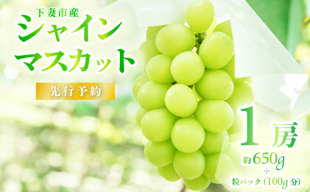 シャインマスカット  1房 ( 約650g ) + 粒パック100g