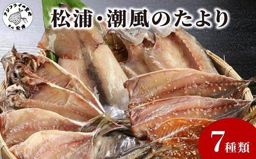 松浦・潮風のたより( 魚 干し物 アジ サバ カマス イカ あご 海鮮 )【B0-150】