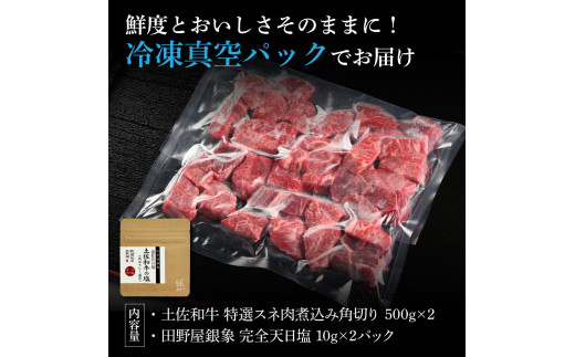 土佐和牛 特選スネ肉煮込み角切り500g×2 田野屋銀象完全天日塩2P付き 1kg 1キロ 長期熟成肉 田野屋銀象 完全天日塩付き スネ肉 煮込み 角切り 肉【株式会社LATERAL】 [BQAU04