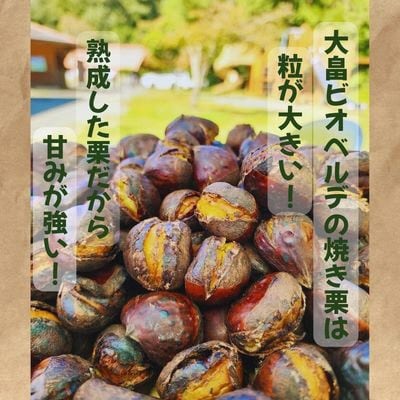 京都府綾部産 丹波栗焼き栗 計400g【配送不可地域：離島】【1733646】