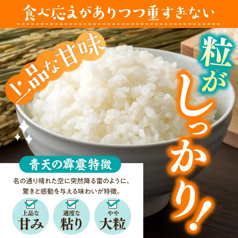 米 5㎏ 青天の霹靂 令和7年産 青森県産 （精米）青森県五所川原市