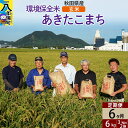 【ふるさと納税】【玄米】《定期便6ヶ月》令和6年産 秋田県産 あきたこまち 環境保全米 6kg (3kg×2袋)×6回 計36kg