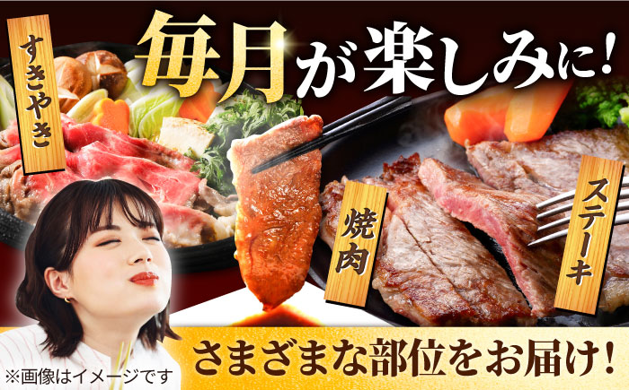 【牧場直送】【12回定期便】佐賀県産和牛 贅沢 霜降り 定期便【有限会社セントラル牧場】 [IAH088]