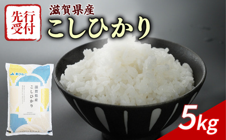こしひかり 白米5kg コシヒカリ (令和7年産)【2026年1月下旬～2月発送】 