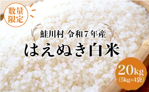 
                  ＜令和7年産 鮭川村 はえぬき＞【白米】 20kg （5kg×4袋）＜配送時期指定可＞ ◇数量限定となります◇
                