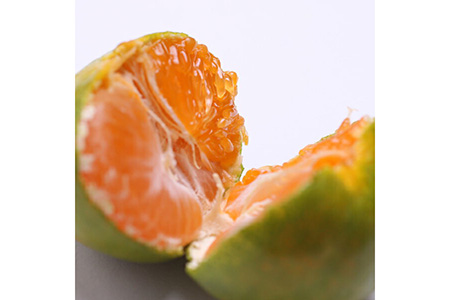 〈10月より発送〉ゆら早生 プレミアム有田みかん 1kg+250g（傷み補償分） ｜ みかん