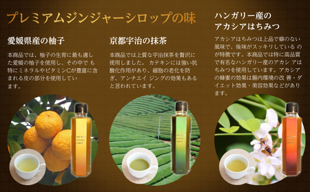 プレミアムジンジャーシロップ3本セット 飲料類 果汁飲料 ジュース 加工食品 生姜シロップ 