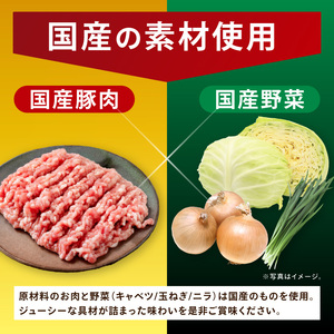 【3ヶ月定期便】満腹餃子 リピーター続出！ボリューム満点！120個（３kg ）×3回 老舗 大容量 国産 焼き餃子 冷凍 ぎょうざ ギョーザ 冷凍餃子 簡単調理 惣菜 おかず おつまみ スタミナ 高評