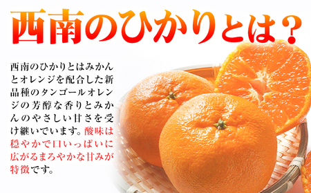 西南のひかり 約5kg さかもと果樹園 みかん