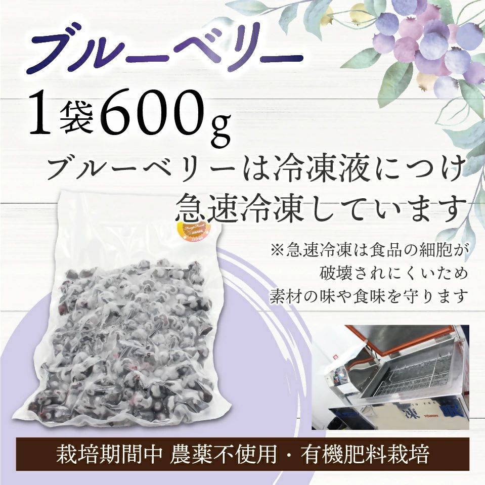 【2026年7月より順次発送】冷凍あまおう800g ＆ 冷凍ブルーベリー600gセット 計1.4kg【JAほたるの里】_HA1653