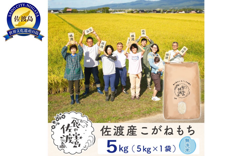 
            【新米】佐渡島産 こがねもち 無洗米 5kg
          