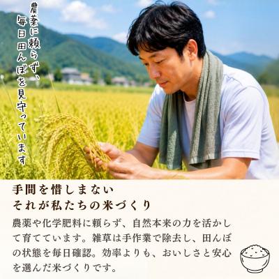 ふるさと納税 飯山市 【先行予約】《新米》栽培期間中 農薬・化学肥料不使用 プレミアム米 玄米 5kg 瑞穂 豊米 |  | 01