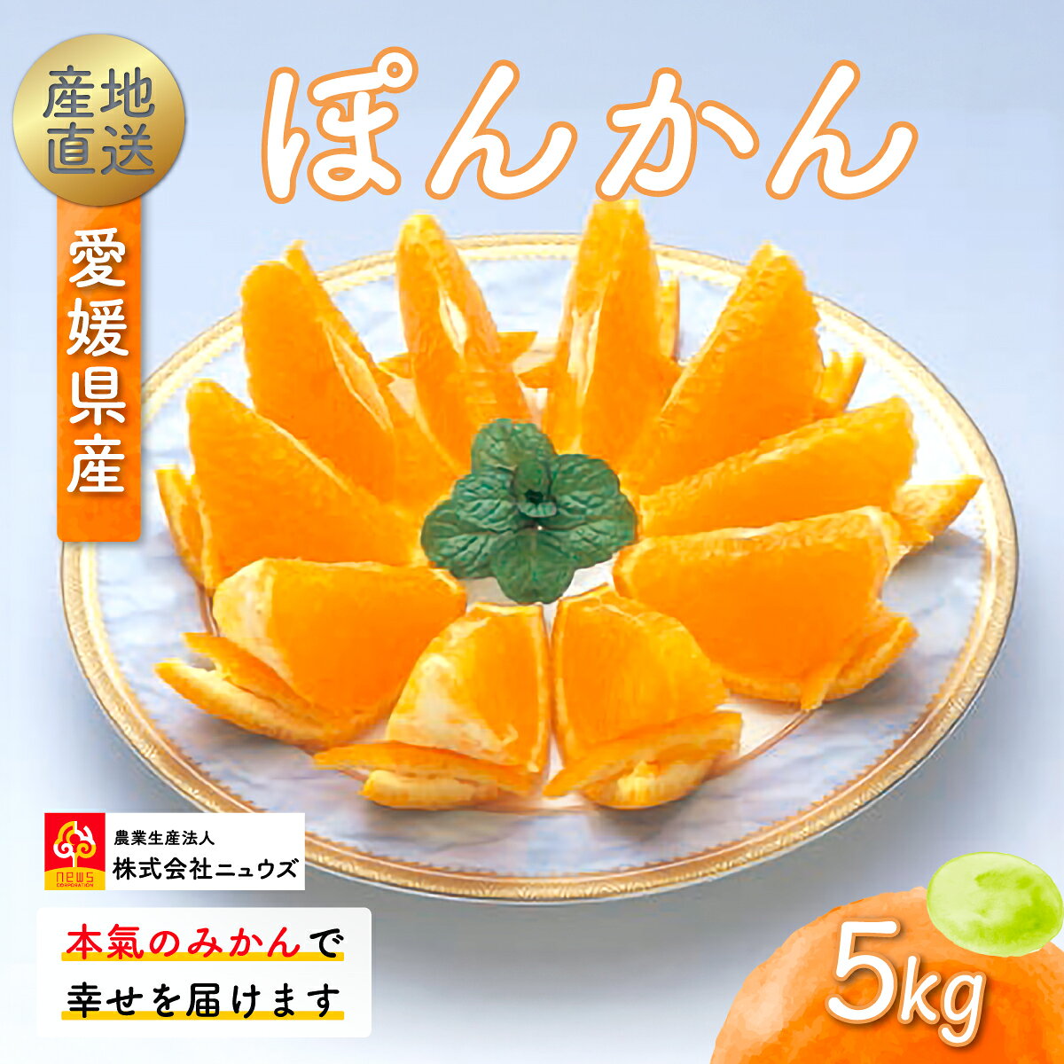 【ふるさと納税】【先行予約】産地直送！愛媛県産ぽんかん 5kg（2027年1月上旬より順次発送） 【 ふるさと納税 人気 おすすめ ランキング みかん ミカン 蜜柑 ぽんかん フルーツ 果物 産地直送 ニュウズ 愛媛県産 愛媛県 伊方町 送料無料 】 IKTF016