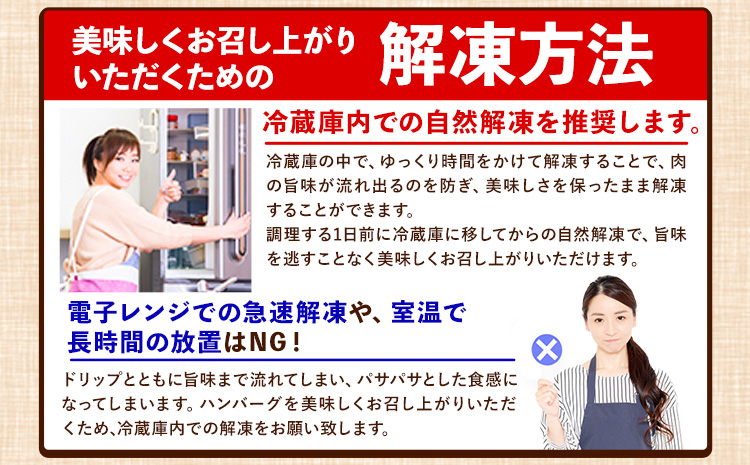 ステーキマニア監修 熊本県産 あか牛 100% 生ハンバーグ 140g× 39個 3セット 《2026年1月中旬-3月末頃出荷》熊本県産あか牛 冷凍 ハンバーグ---ng_faknha3_bc13_r