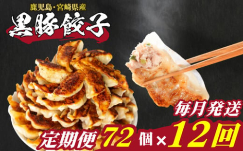 訳あり 黒豚餃子 12回 毎月 定期便 72個 12個×6パック 冷凍 小分け たれ付き 大容量 ぎょうざ ギョウザ ギョーザ