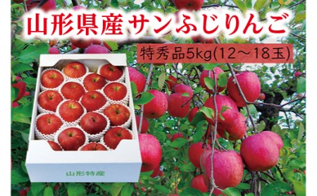 《先行予約 2026年度発送》【山形県産】サンふじりんご特秀品5kg りんご リンゴ 林檎 デザート フルーツ 果物 くだもの 果実 食品 山形県 FSY-2971