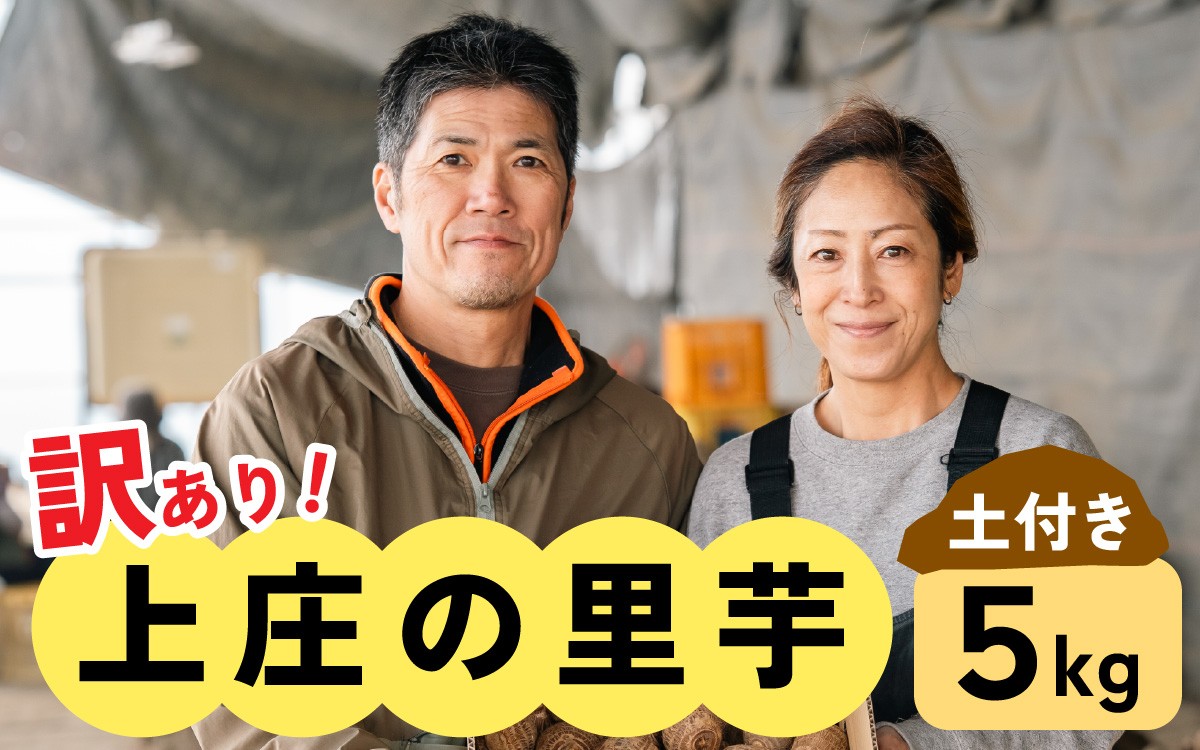 
                  【先行予約】訳あり！上庄の里芋　5kg【土付】【11月より順次発送】
                