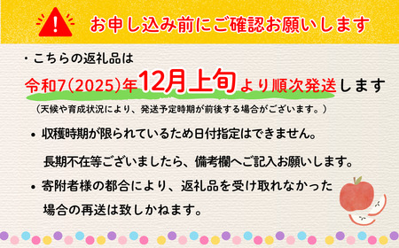 【先行予約】サンふじ 約3kg (6〜12玉）（2025年12月上旬から発送）りんご サンふじ 限定  直送 好評 (7-A41-1)
