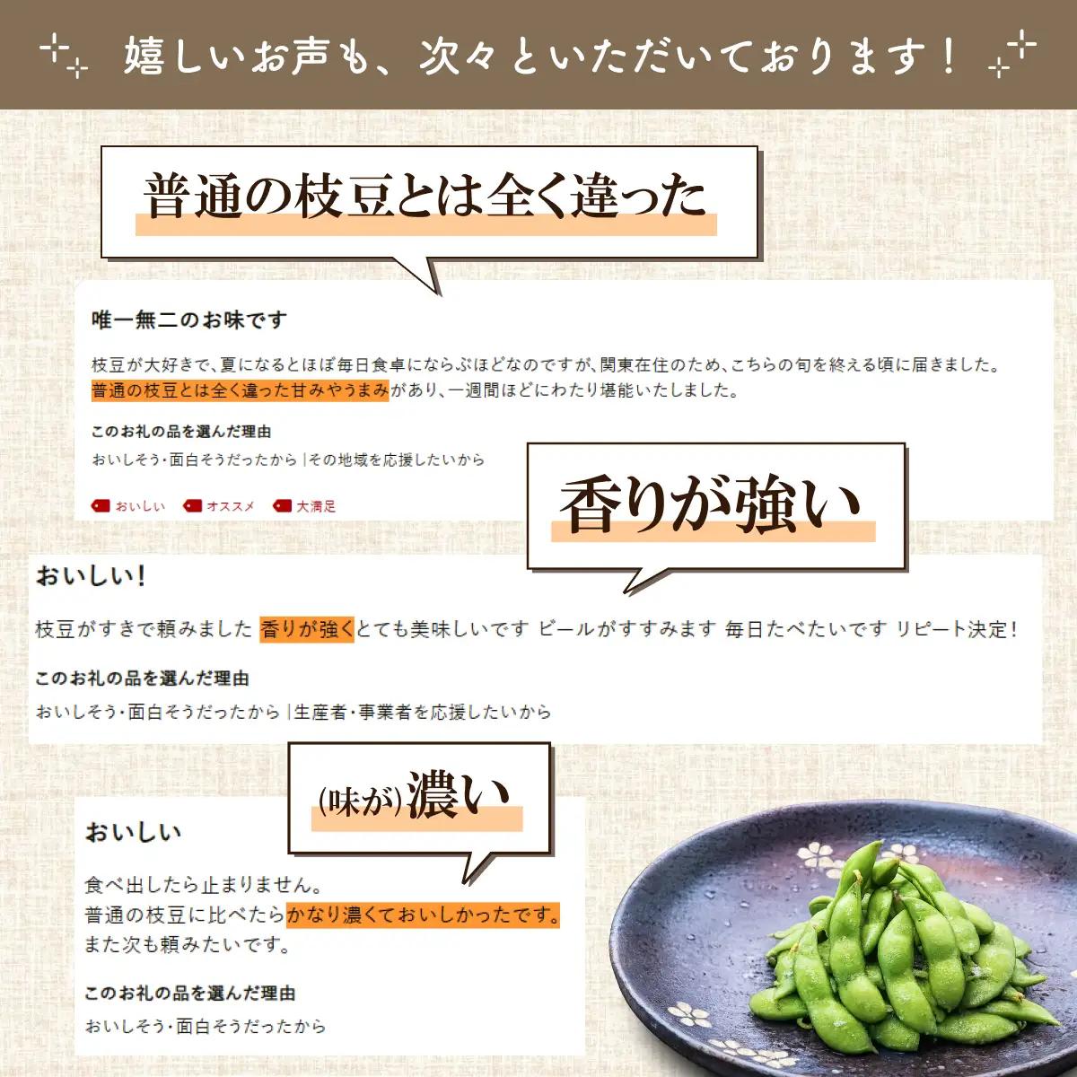 枝豆 冷凍だだちゃ豆【定期便12ヶ月】 480g(80g×6袋)×12回 鶴岡産 さや付き だだちゃ喜左衛門株式会社