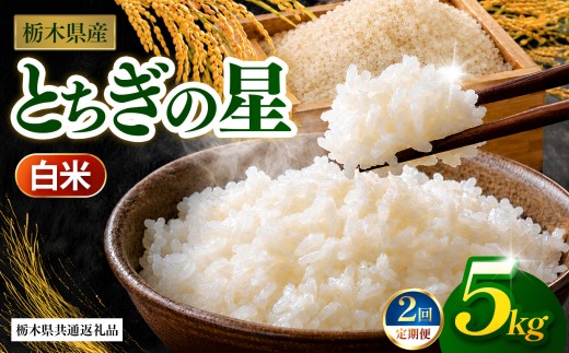 【先行予約】【栃木県共通返礼品】【定期2回】とちぎの星（白米）約 5kg ｜とちぎの星 米 白米 おいしい お米 こめ おこめ 白米 精米 国産 ごはん ご飯 白飯 米 おこめ 白米 精米ゴハン ランキング 人気  ふるさと 納税 栃木県 那珂川町 送料無料