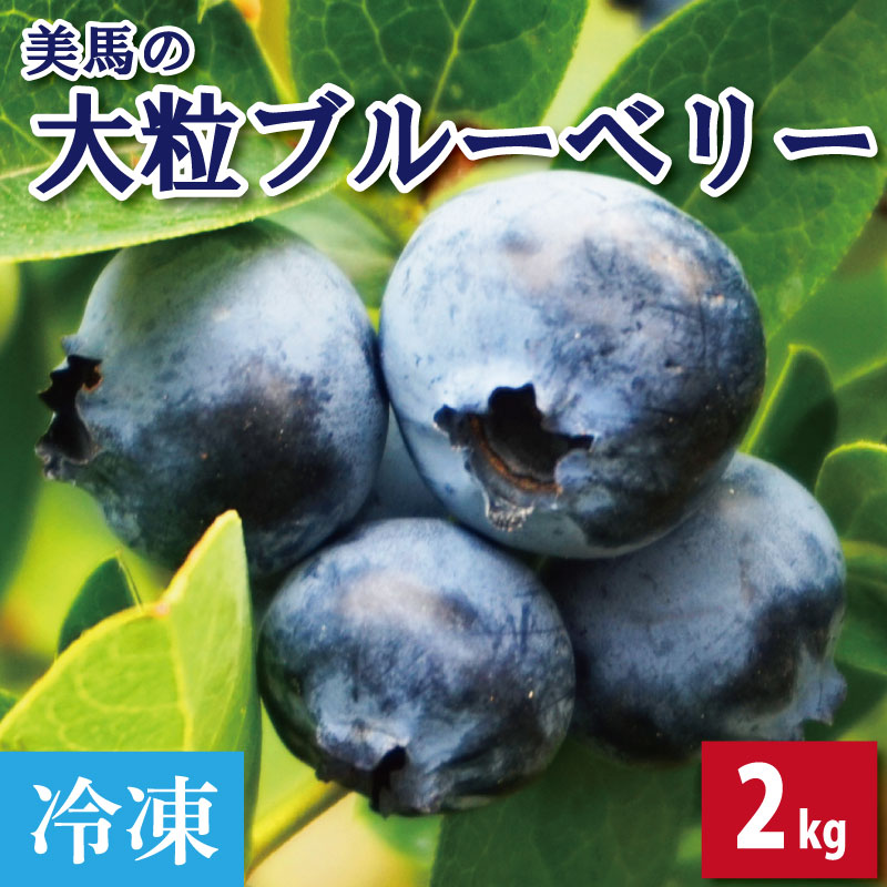 【ふるさと納税】 ブルーベリー 大粒 2kg 冷凍 果物 フルーツ デザート 旬 新鮮 季節 夏 人気 ケーキ おすすめ ギフト プレゼント 贈答 贈り物 家庭用 期間限定 送料無料 美馬 徳島