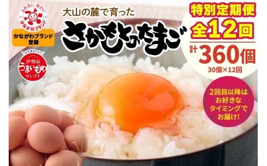 [特別定期便全12回] たまご 2回目以降はお好きなタイミングでお届け！ 坂本養鶏 大山の麓で育ったさかもとのたまご 合計360個 (30個×12回)｜伊勢原市 赤玉卵 玉子 鶏卵 生卵 国産 TKG タマゴ 新鮮 大山 鶏 ギフト 安心 安全 親子丼 卵焼き 目玉焼き お菓子 [1026]