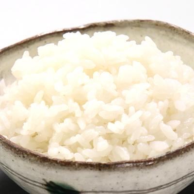 ふるさと納税 大潟村 サキホコレ特別栽培米使用 パックライス180g3個パック×8袋セット |  | 02