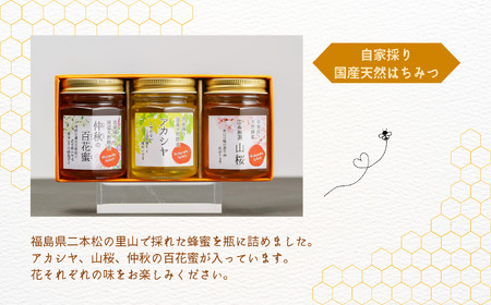 自家採り国産天然はちみつ 3本セット(140g×3)【渡辺養蜂場】