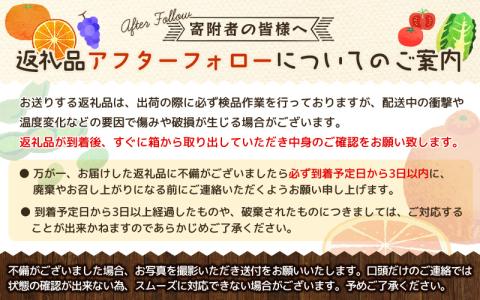 【秋の味覚】和歌山産のたねなし柿2L～4Lサイズ約2kg（化粧箱入り）※2024年10月上旬～2024年11月上旬頃順次発送【tec408】