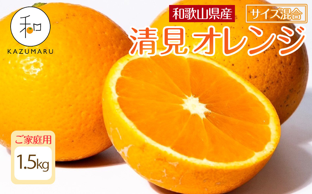 
                  家庭用 森本農園の手選別 清見オレンジ1.5kg 和歌山県産 サイズ混合 ［北海道・沖縄・離島配送不可］［RN21］［2026年2月上旬から5月中旬頃順次発送予定］
                