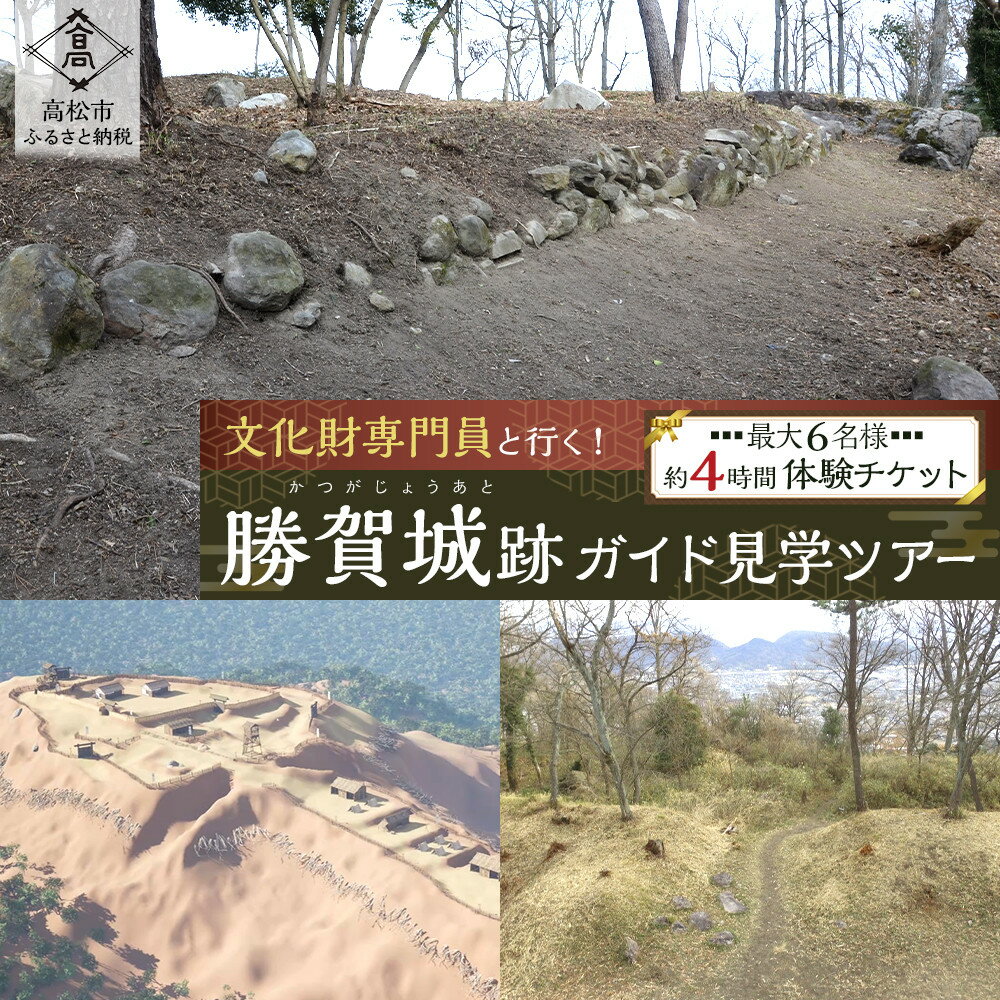 【ふるさと納税】文化財専門員と行く！勝賀城ガイド見学ツアー