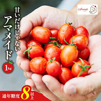 【ふるさと納税】【1kg】ミニトマト 糖度8以上 アマメイド 　リピーター続出の人気野菜_ トマト ミニトマト アマメイド 野菜 やさい 人気 おすすめ 送料無料 ブランド バッグ栽培 【1502576】