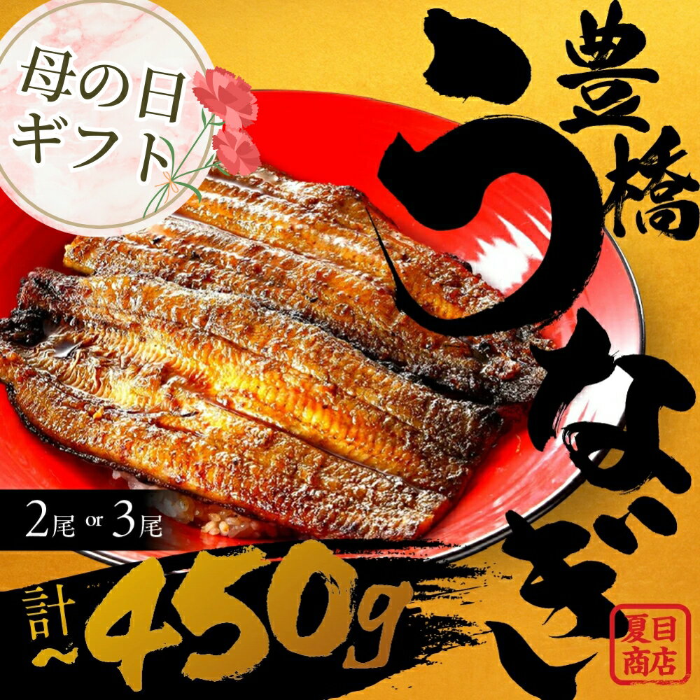 【ふるさと納税】＼すぐ届く／ 日付指定 可 国産 うなぎ 蒲焼 2尾 3尾 ~450g 夏目商店 蒲焼 国産うなぎ 蒲焼 ウナギ 鰻 長蒲焼 年内発送 年内配送 年内 発送時期が選べる 豊橋うなぎ 冷凍 母の日 父の日 丑の日 惣菜 unagi ランキング 1位 期間限定 高級 愛知 豊橋市
