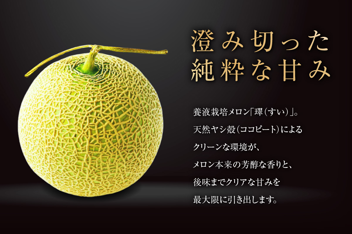 【先行予約】養液栽培メロン「璻」1玉【Select】（糖度13度以上、重さ1.3㎏以上）【熨斗対応可能】│メロン めろん 果物 フルーツ 高級 旬 お取り寄せ 青肉 ご褒美 グルメ 璻 甘い 愛知県 