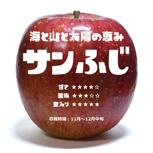 りんごの王様「サンふじ」 7個入り ☆自分へのご褒美に☆大切な誰かに☆ 【 米崎りんご 旬 人気 数量限定 おすすめ ギフト プレゼント 】 2024年11月中旬～発送予定