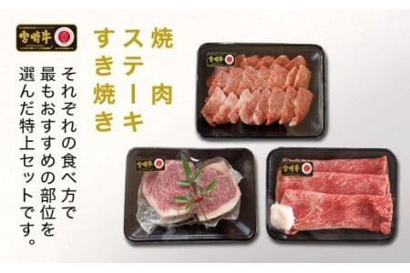 宮崎牛 特上セット 800g【肉 牛肉 国産 黒毛和牛 宮崎牛 肉質等級4等級以上の牛肉 ステーキ スライス 焼肉 しゃぶしゃぶ すき焼き BBQ】