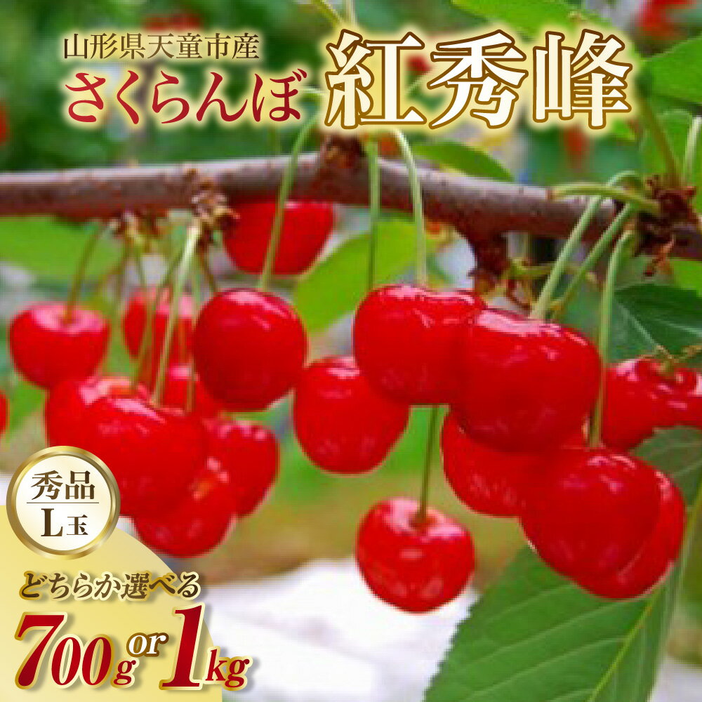 【ふるさと納税】 さくらんぼ ( 紅秀峰 ) 選べる 700g ( 350g ×2) / 1kg ( 500g ×2) 秀 L以上 バラ 山形 先行予約 令和8年産 2026年産 サクランボ チェリー フルーツ 果物 くだもの 旬 数量限定 冷蔵 のし 贈答 ギフト プレゼント お取り寄せ 産地直送 【 山形県 天童市 】