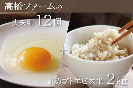 たまご 12個 & 玄米 2kg 平飼い もみじ AQ005