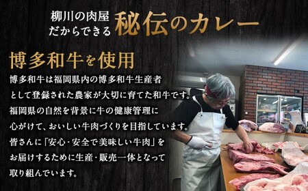 【TVで話題】柳川黄金博多和牛カレー （2箱） カレー レトルト
