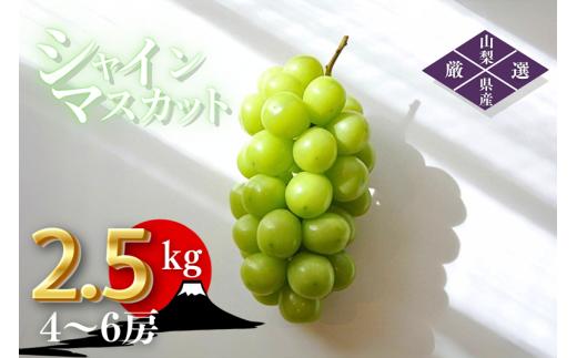 シャインマスカット 約2.5kg（4～6房）山梨県甲州市 産地直送【2025年発送】（ORJ）C5-801 【シャインマスカット 葡萄 ぶどう ブドウ 令和7年発送 期間限定 山梨県産 甲州市 フルーツ 果物】