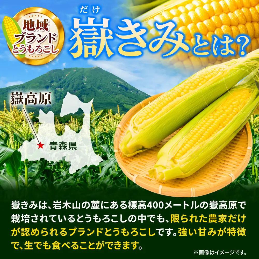【26年7月～発送】とうもろこし 朝採り 嶽きみ（だけきみ） 10本 L～2Lサイズ 冷蔵 青森県 弘前市