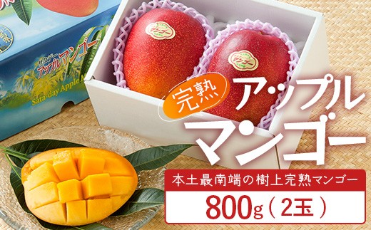≪先行予約・数量限定≫ ☆本土最南端☆佐多の果樹園で育てた 完熟アップルマンゴー 800g ( 2玉 ) 【2026年7月上旬以降順次発送】 V7406 ｜鹿児島県 南大隅 産地直送 旬 マンゴー フルーツ 果物 くだもの