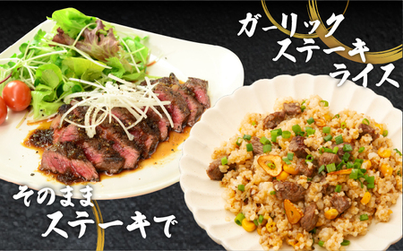 宮崎牛肩ロースステーキ(ハーフカット)計300g 牛 牛肉 焼肉 国産 T009-005【人気  肉 ギフト 肉 食品 お肉 しゃぶしゃぶ  肉 贈り物  肉  お土産  肉 送料無料 肉 プレゼント