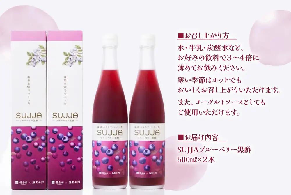 B2-0865／SUJJA ブルーベリー黒酢 2本セット