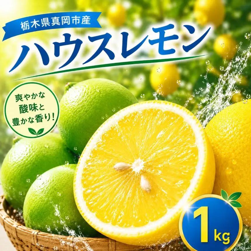 【先行予約】国産 レモン 1kg 真岡市産 ハウスレモン 