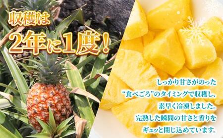 ＜期間限定 春フェア＞＜先行予約＞ 石垣島産 冷凍カットパイナップル 200g×6袋 計1.2kg ＜2026年6月下旬発送＞ | ふるさと納税 パイナップル パイン フルーツ 冷凍 フローズン カッ
