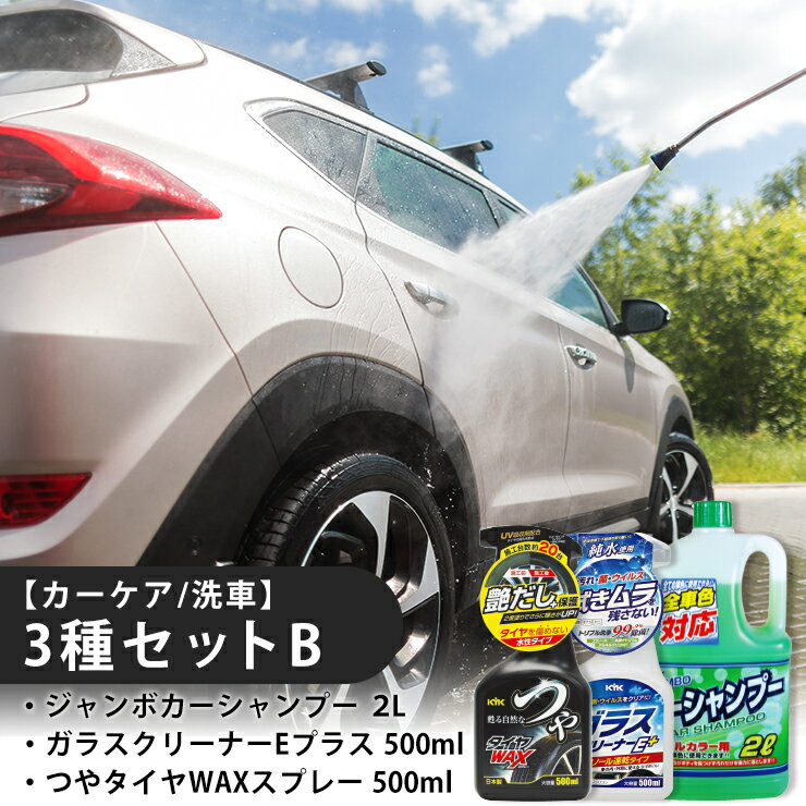【ふるさと納税】【カーケア／洗車】3種セットB