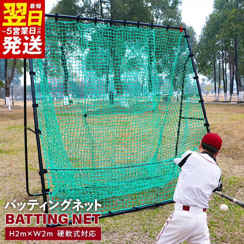【ふるさと納税】野球練習ネット バッティングネット 2Mサイズ 硬式球対応 硬式球 軟式球 ソフトボール 組み立て簡単 専用ケース付き 2重ネット ティーバッティング 送球練習 ネット 練習ネット 野球 スポーツ ZERO HOUSE 最短 翌日発送 5営業日 泉佐野市 送料無料
