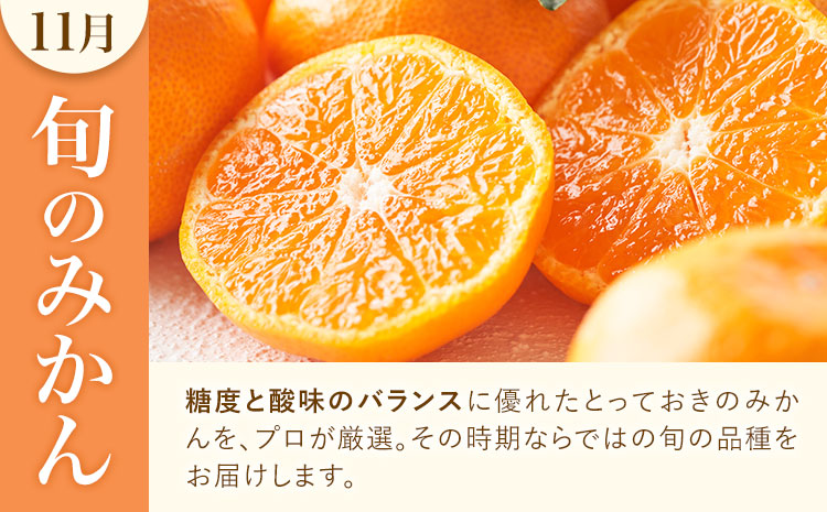 旬の柑橘定期便 山本果樹園 旬のみかん 約5kg パール柑 約5kg 晩白柚 2玉（Lサイズ）《11月上旬-2月下旬頃出荷》果物 フルーツ ザボン 熊本県 特産品---hkw_ymk_7_mo3---