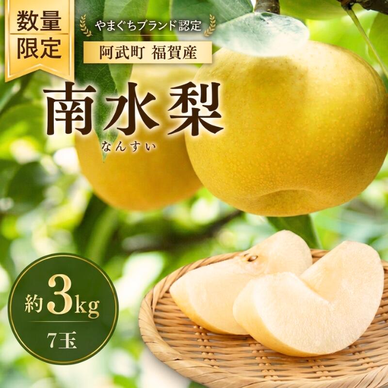 【ふるさと納税】梨 福賀の南水梨 約3kg 7玉 山口県阿武町産 高糖度 シャキシャキ食感 数量限定 【2026年9月20日頃～順次発送】